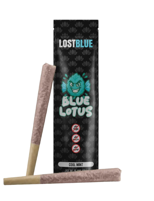 Lost Blue 2ct Preroll Cool Mint
